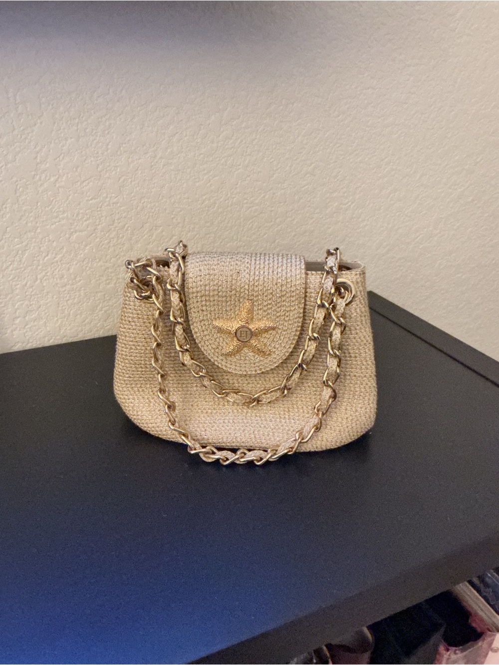Anthropologie Beige Woven Crossbody with Gold Chain